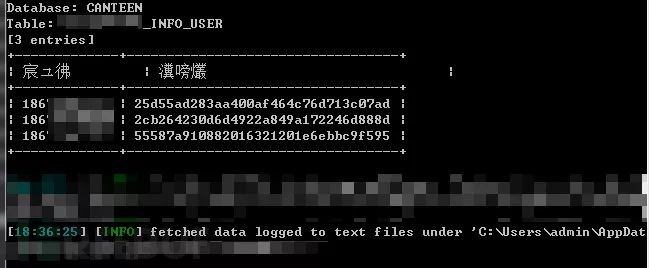 When SQL Injection Encounters Strange Encoding Issues