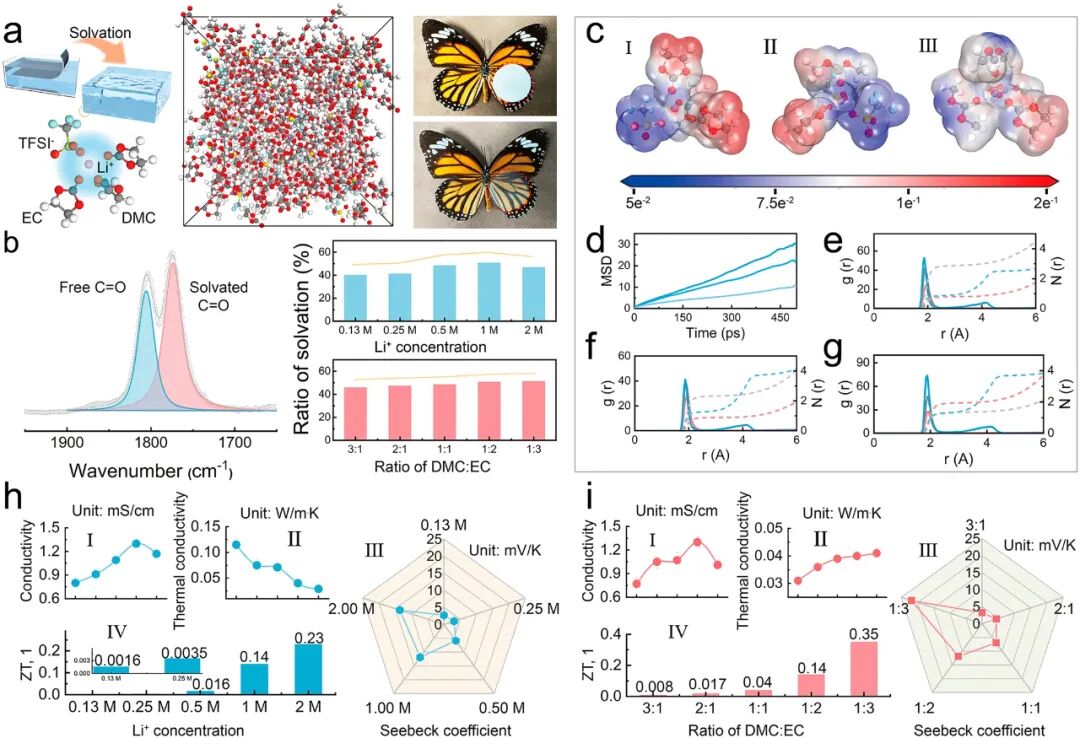 Ultra-Thin Wearable Thermoelectric Paster Based on Structured Organic Ion Gel Electrolyte - Beijing Institute of Technology