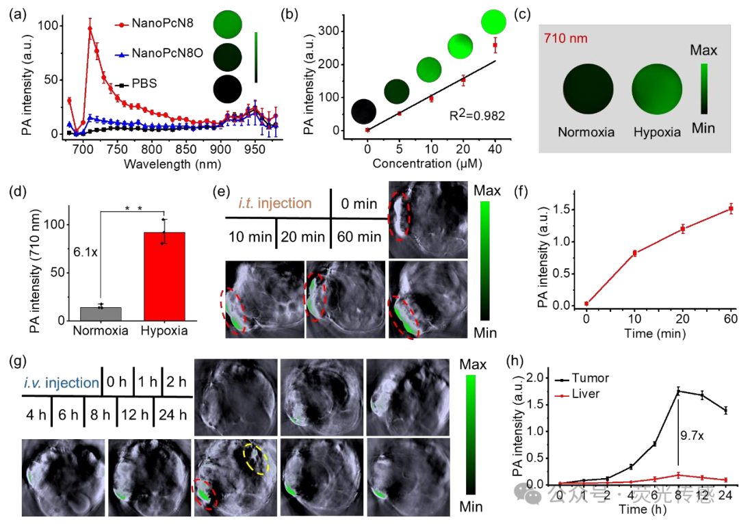 Professor Li Xingshu and Academician Juyoung Yoon in Angew: Hypoxia-triggered Bioreduction of Hydrophilic Type I Photosensitizers for Switchable In Vivo Photoacoustic Imaging and High-specificity Cancer Phototherapy
