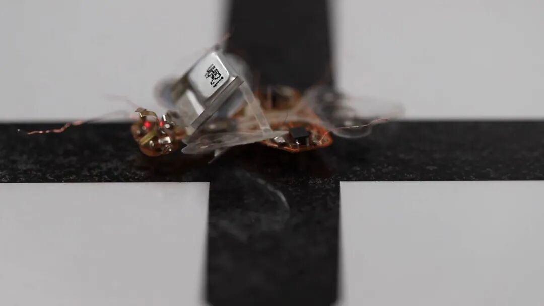 The Resilient Micro-Insect Robot: Artificial Muscles Drive 450 Beats Per Second
