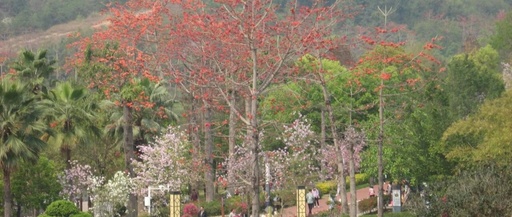 The Role of Stack in Assembly Language: Similar to a Handbag