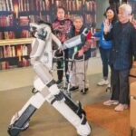 AI Robots Have Entered the Elderly Care Sector! Can You Accept It?