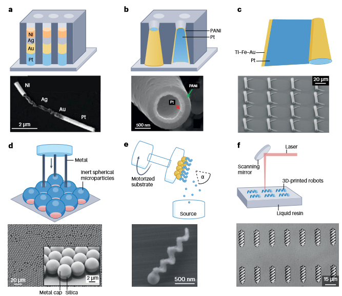 Three Authors, One Nature Review: Microrobots!