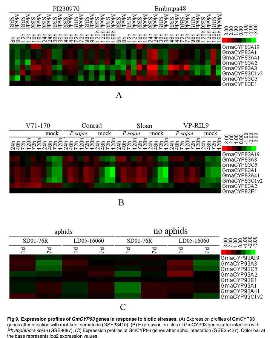 Genome-Wide Analysis, Classification, Evolution, and Expression Analysis of the Cytochrome P450 93 Family in Land Plants