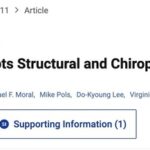 Humidity Disrupts Structural and Chiroptical Properties of Chiral 2D Perovskites