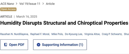 Humidity Disrupts Structural and Chiroptical Properties of Chiral 2D Perovskites
