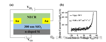 Direct π-extension of a Conjugated Carbon Nanohoop Using a Zipper Method