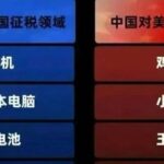 Observing the World (13): Don't Be Deceived by the Chip War! The Real Outcome Was Written in Line 7 of the Tariff List