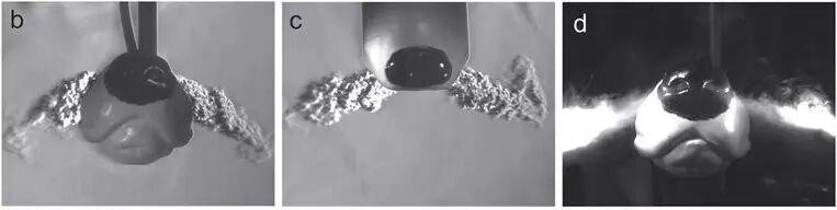 A Group of Scientists 3D Printed a Dog Nose, What Are They Up To?