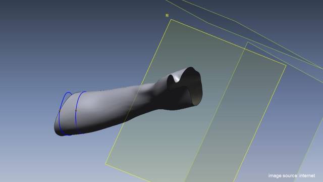 Can 3D Printing Really Create Organs? At Least It Helped a Bird!