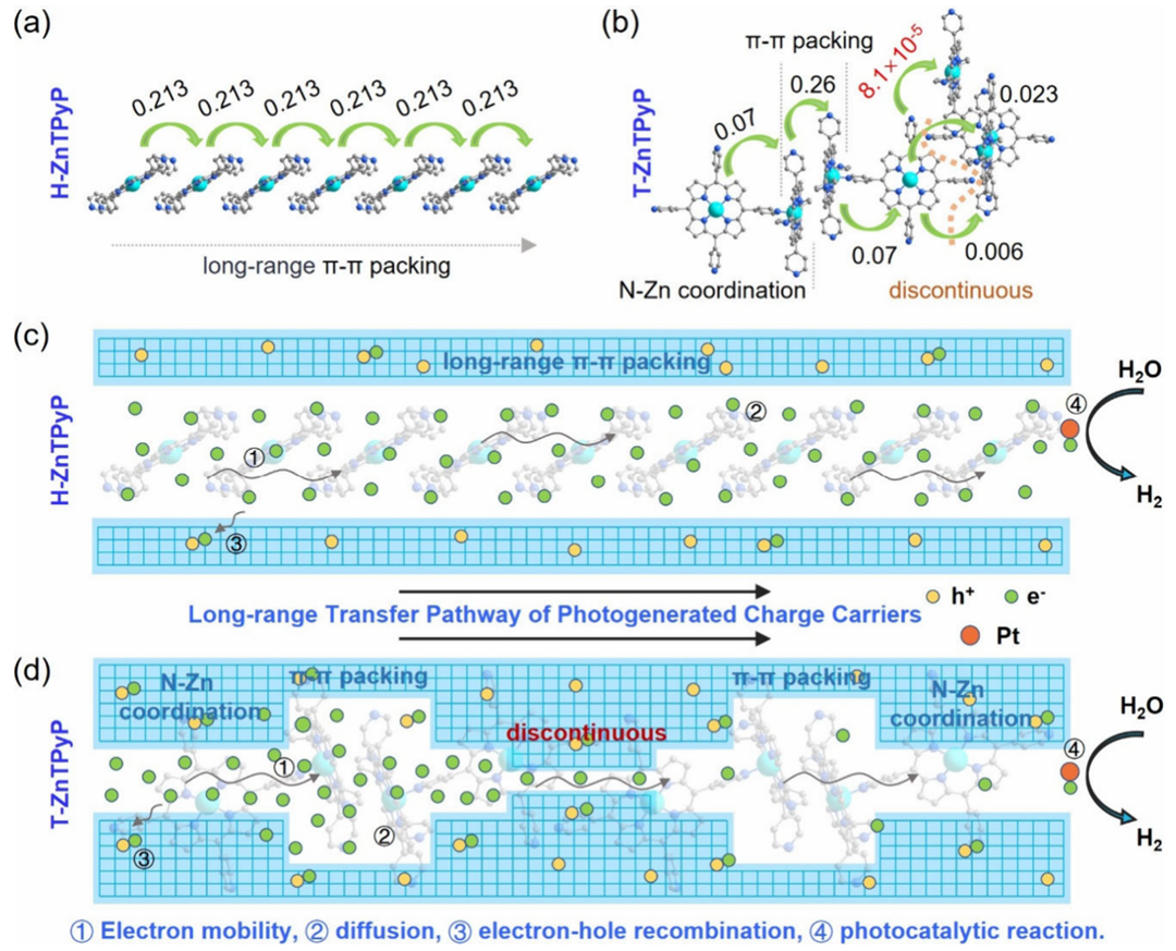 Morphology-Controlled Long-Range Photogenerated Charge Carrier Transfer Pathway for Enhanced Photocatalytic Hydrogen Production