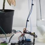 DIY IoT Plant Watering System Using Arduino