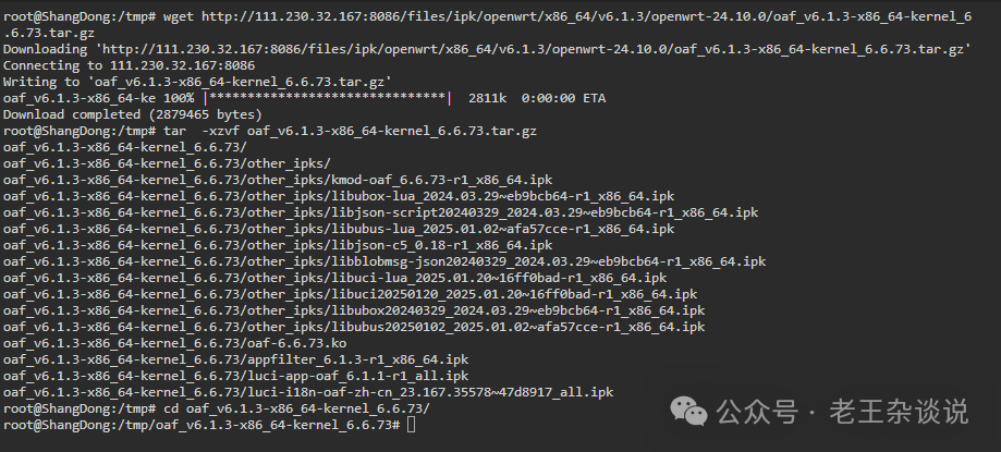 Application Control Features of OpenWrt for Enterprise Use: Have You Installed It?