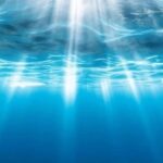 Three Classic Cases to Show You How to Achieve True Interdisciplinary Integration