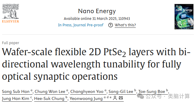 Nano Energy: Wafer-Level Flexible Two-Dimensional PtSe2 Layers with Bidirectional Wavelength Tunability for All-Optical Synaptic Operations