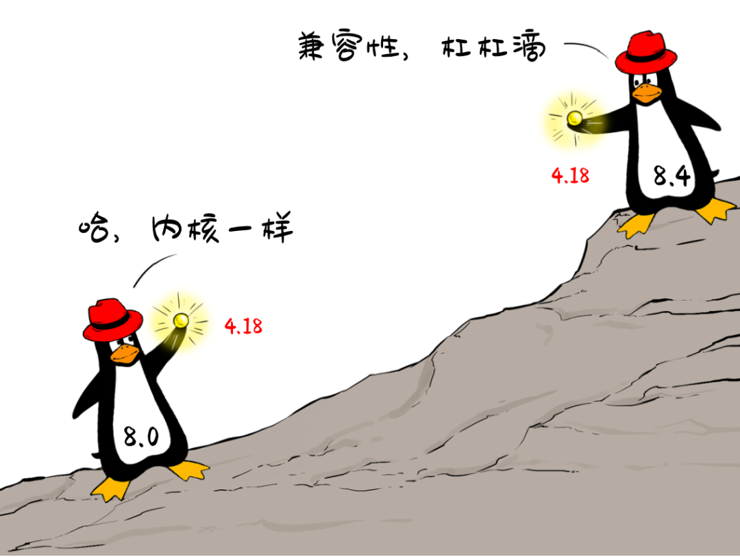 From 'Free Riding' to Mastering Linux!