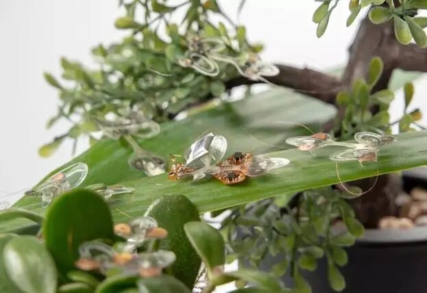 The Resilient Micro-Insect Robot: Artificial Muscles Drive 450 Beats Per Second