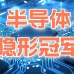 Six Semiconductor 'Hidden Champions' Worth Investing In, Poised to Become the Next Cambrian Explosion