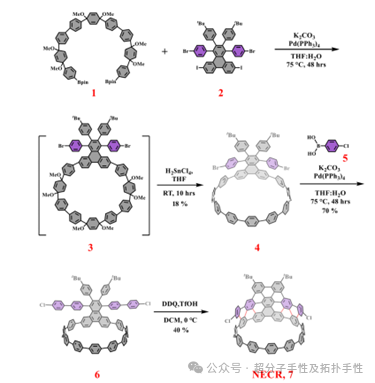 Direct π-extension of a Conjugated Carbon Nanohoop Using a Zipper Method