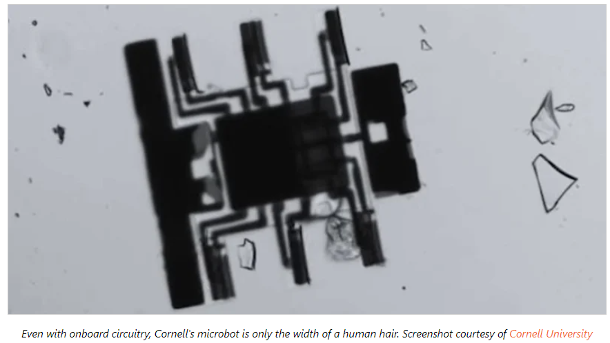 Microbots Successfully Equipped with a 'Brain'!
