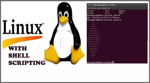 A Collection of Text Processing Tools in Linux Shell