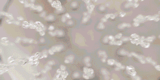 Texas Instruments CTO: New Measurement Technology Maximizes the Value of Every Drop of Water