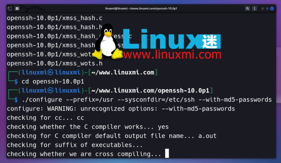 Step-by-Step Guide to Installing OpenSSH 10.0 on Kali GNU/Linux Roll