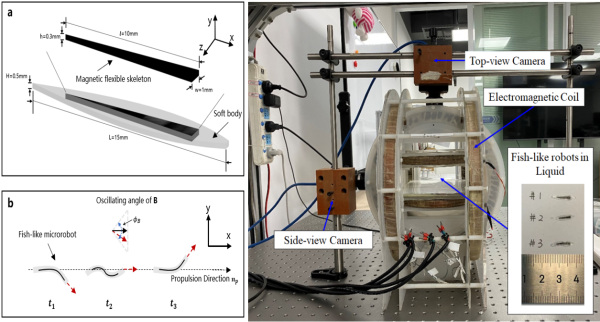 Scientists Propose a Complex Motion Learning Control Method for Miniature Fish-like Magnetic Driven Robots
