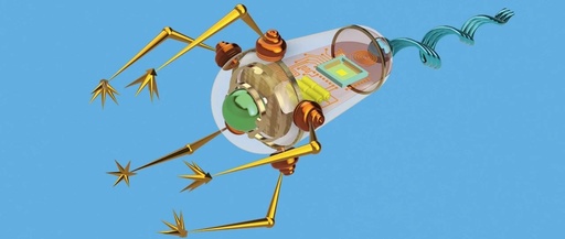 How to Create a Truly Intelligent Microbot