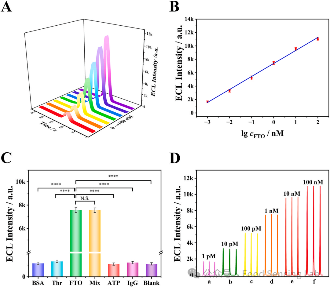 Detection of FTO Using a DNAzyme-Mediated CRISPR/Cas12a Signal Amplification Electrochemiluminescence Biosensor with C-CN/PCNV Heterojunction as Emitter