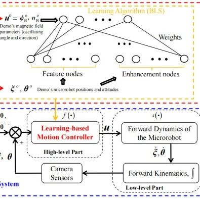 Scientists Propose a Complex Motion Learning Control Method for Miniature Fish-like Magnetic Driven Robots