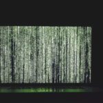 The Versatility of Python: 6 Reasons for Its Popularity