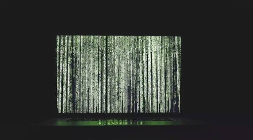 The Versatility of Python: 6 Reasons for Its Popularity