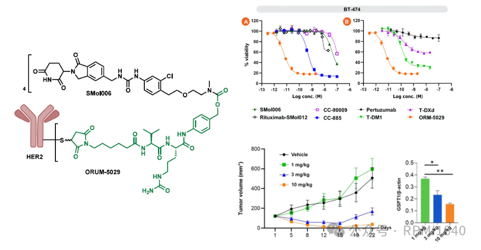 From ADC to DAC: Tackling the 'Undruggable' Lifeline? (Data Updated to AACR 2025)