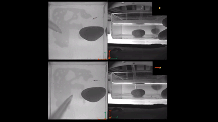 Scientists Propose a Complex Motion Learning Control Method for Miniature Fish-like Magnetic Driven Robots