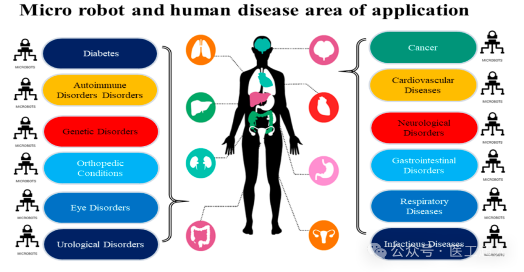 Applications of Microrobots in Medical Systems: A Comprehensive Analysis from Design to Practice
