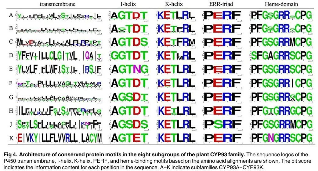 Genome-Wide Analysis, Classification, Evolution, and Expression Analysis of the Cytochrome P450 93 Family in Land Plants