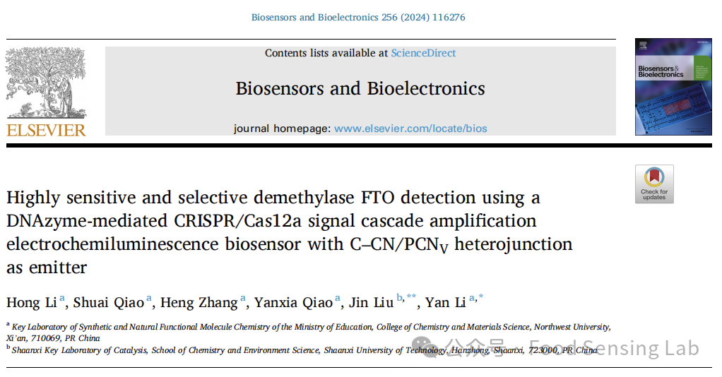 Detection of FTO Using a DNAzyme-Mediated CRISPR/Cas12a Signal Amplification Electrochemiluminescence Biosensor with C-CN/PCNV Heterojunction as Emitter