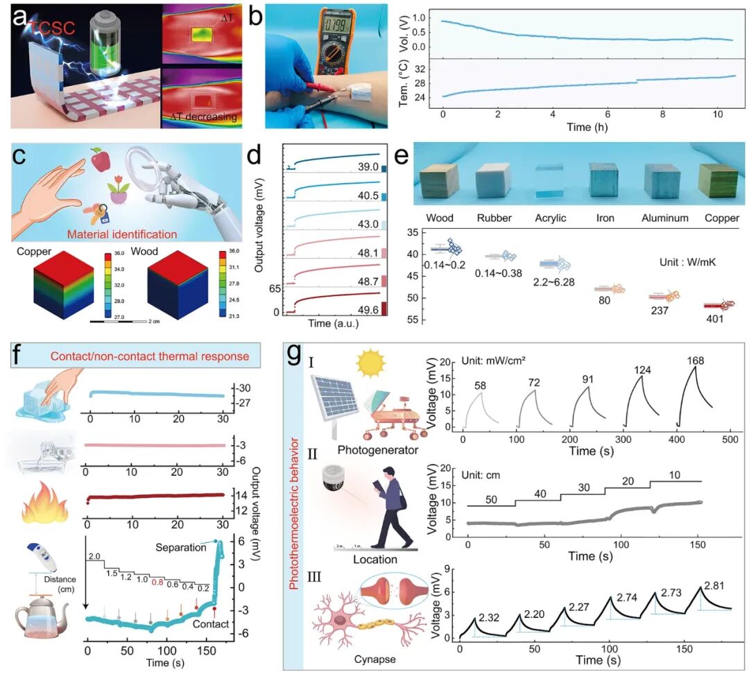 Ultra-Thin Wearable Thermoelectric Paster Based on Structured Organic Ion Gel Electrolyte - Beijing Institute of Technology
