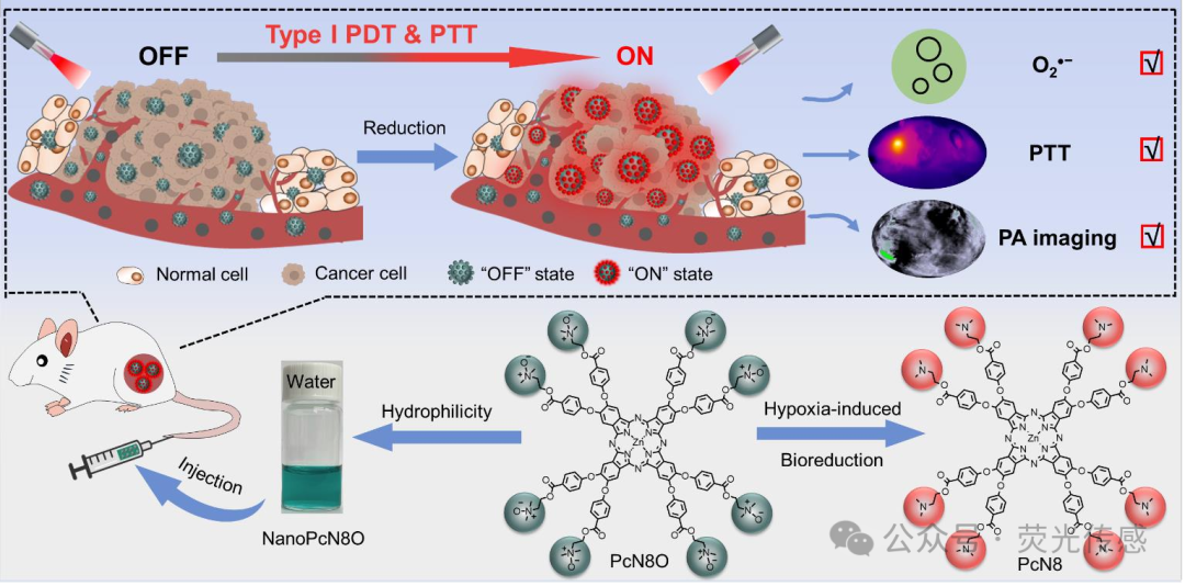 Professor Li Xingshu and Academician Juyoung Yoon in Angew: Hypoxia-triggered Bioreduction of Hydrophilic Type I Photosensitizers for Switchable In Vivo Photoacoustic Imaging and High-specificity Cancer Phototherapy