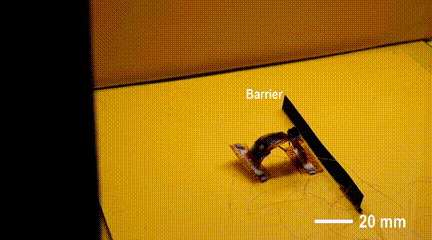 Tsinghua University's Miniature Soft Robot Can Climb Various Surfaces, Change Size from 6 to 90 mm, and Even Somersault!