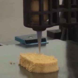 3D Printing: Can It Really Create 'Chicken Fillet' with an Irresistible Aroma?