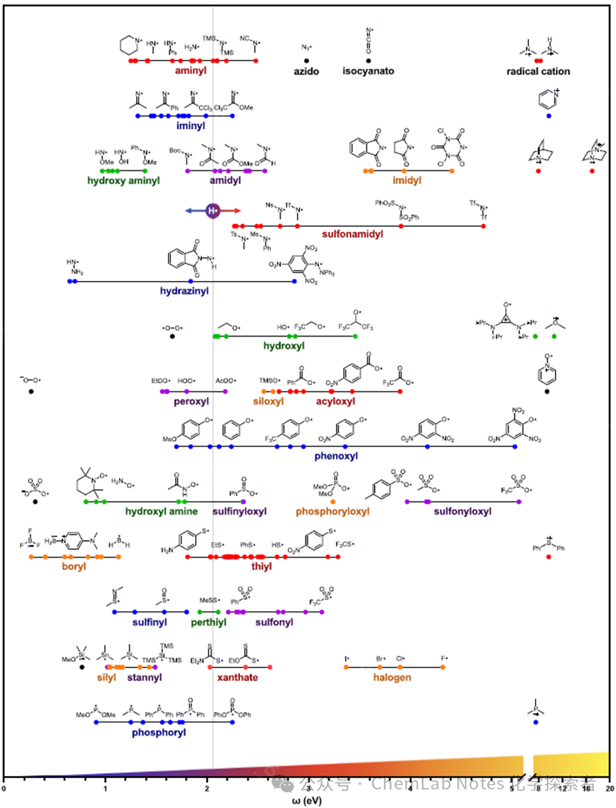 The Latest and Most Comprehensive Study on the Polarity of Free Radical Intermediates