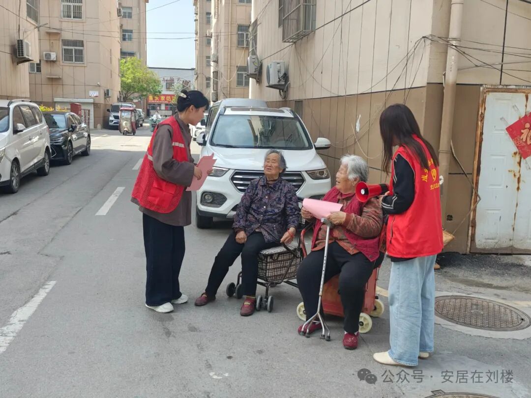 Embedded Services: Strengthening Security Networks through Poppy Inspections