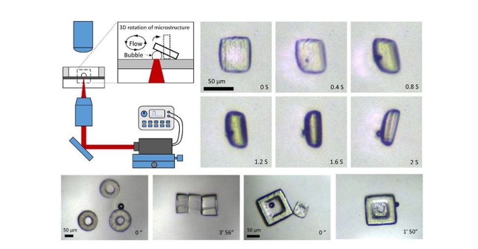 Exploring the Potential of Micro Robots