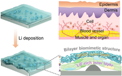 Fatigue-Free and Skin-like Supramolecular Ion-Conductive Elastomeric Interphases for Stable Lithium Metal Batteries