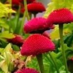 Arrow: A Powerful Time Handling Library for Python!