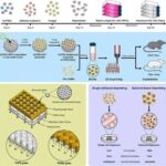 3D Bioprinting of Hepatic Organoids for the Treatment of Liver Failure