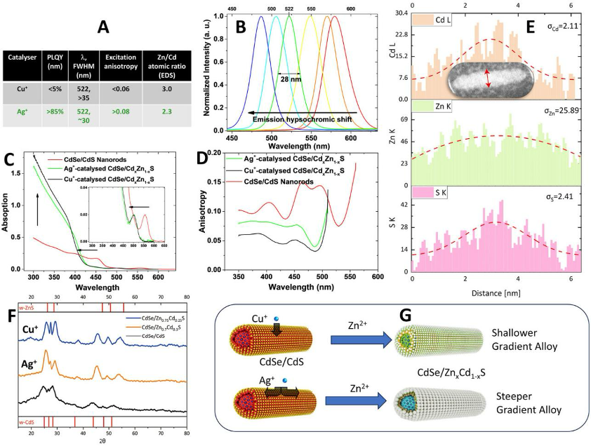 Hong Kong University of Science and Technology Advanced Science: High-Performance Displays Using Polarized Color Filters with Colloidal Quantum Rod Nanocrystals