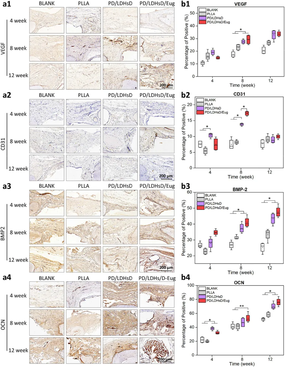 Professor Luo Binghong's Team from Jinan University Publishes in ACS Nano: Multifunctional 3D Printed Scaffolds with Spatiotemporal Drug Release Functions for Bone Regeneration